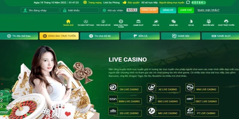 Sm66 là trang web cá cược bóng đá phổ biến nhất tại Hoa Kỳ - Sm66