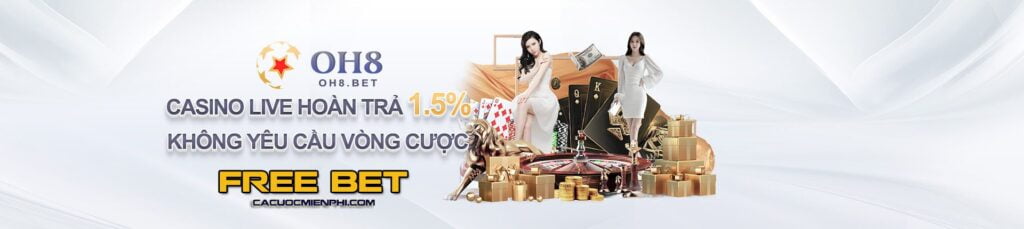 Hướng dẫn cách đăng nhập an toàn vào Qqvn - Qqvn