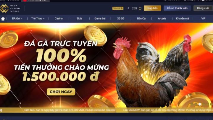 Hướng dẫn nạp tiền vào tài khoản Dk8 toàn diện nhất dành cho người mới bắt đầu - Dk8