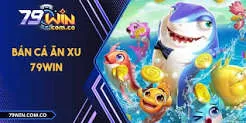 Khám phá thế giới của nền tảng trực tuyến Debet - Debet
