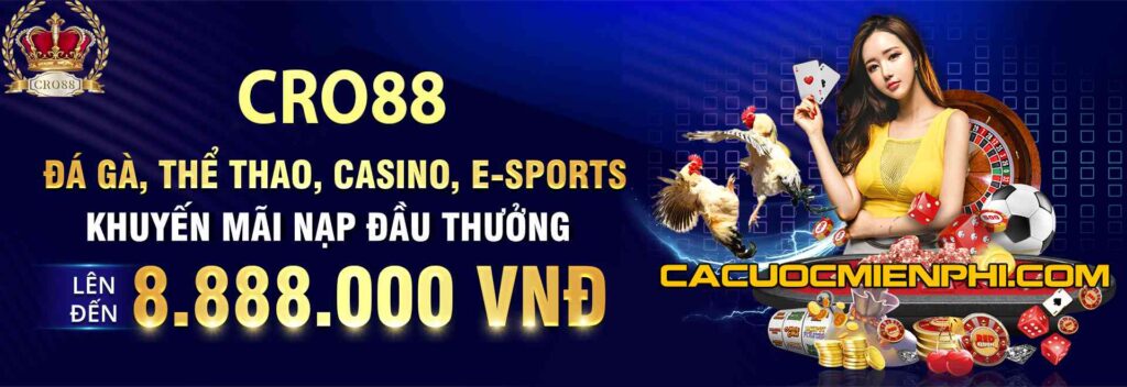 Thông tin liên hệ mới nhất của nền tảng Nbet năm 2026 - Nbet