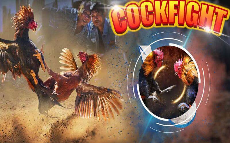 Một chiến dịch quảng bá quy mô lớn đã được triển khai nhằm mục tiêu vào các game thủ cấp Sodo66 - Sodo66