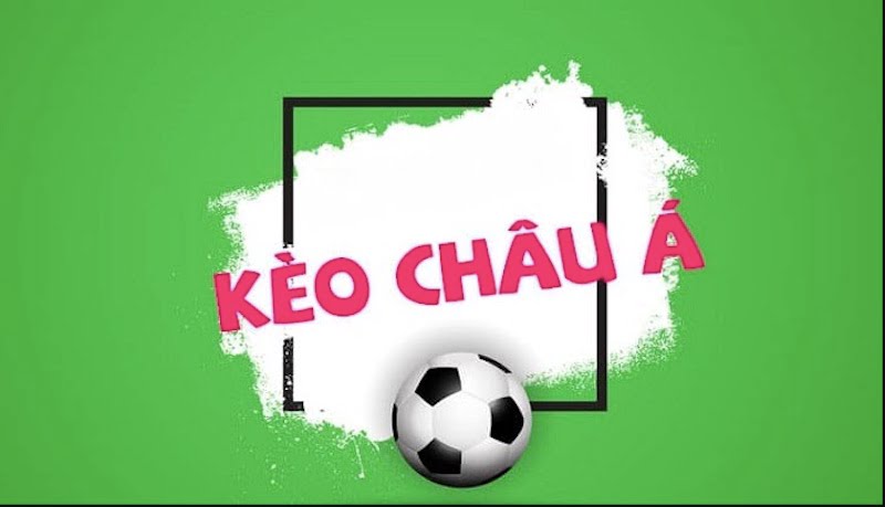 Betvn đang đặt rất nhiều kỳ vọng vào World Cup 2026 - Betvn