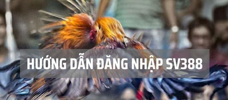 Các chiến dịch quảng bá cấp độ Kuvip là chìa khóa thành công của các trang web game - Kuvip
