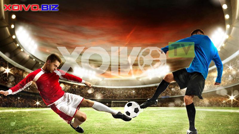 Câu hỏi thường gặp – Các vấn đề thường gặp liên quan đến trang web Hay88 Games - Hay88