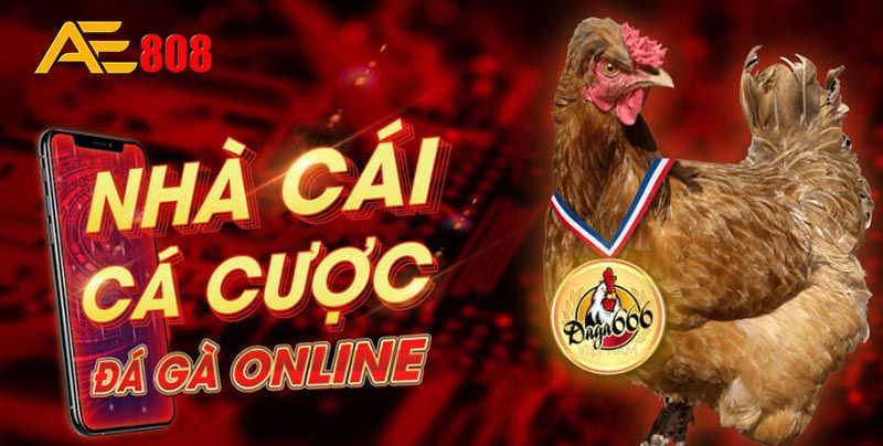 Tại sao việc biết cách nạp tiền vào tài khoản Stake lại quan trọng? - Stake