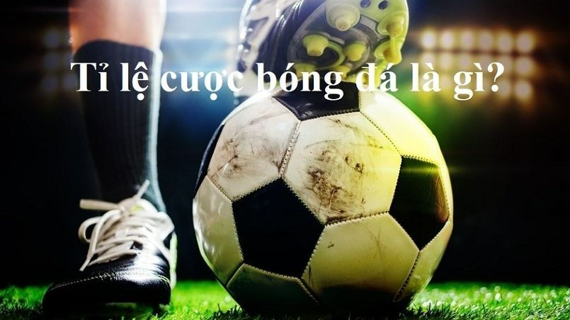 Câu hỏi thường gặp về Keonhacai Live MOD APK - Keonhacai