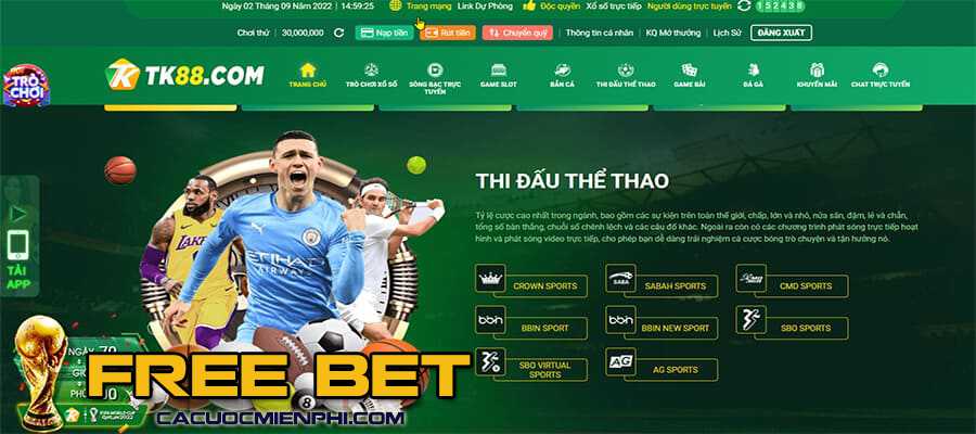 Tổng quan về các cầu thủ kỳ cựu cấp độ Bet888 - Bet888