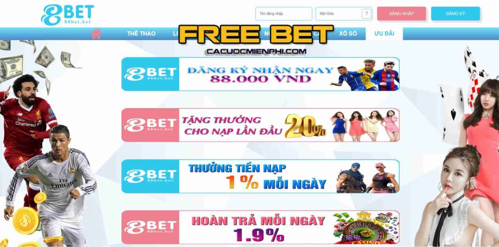 Debet là công ty xổ số hàng đầu Việt Nam - Debet
