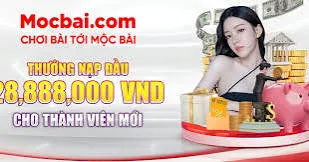 Thông tin về việc đăng ký làm đại lý với B52 - B52