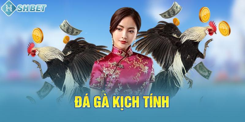 Tôi có thể mở tài khoản cá cược trực tuyến với Xin88 Gaming bằng cách nào? - Xin88